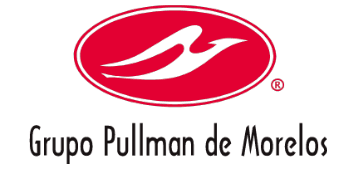 Grupo Pullman
